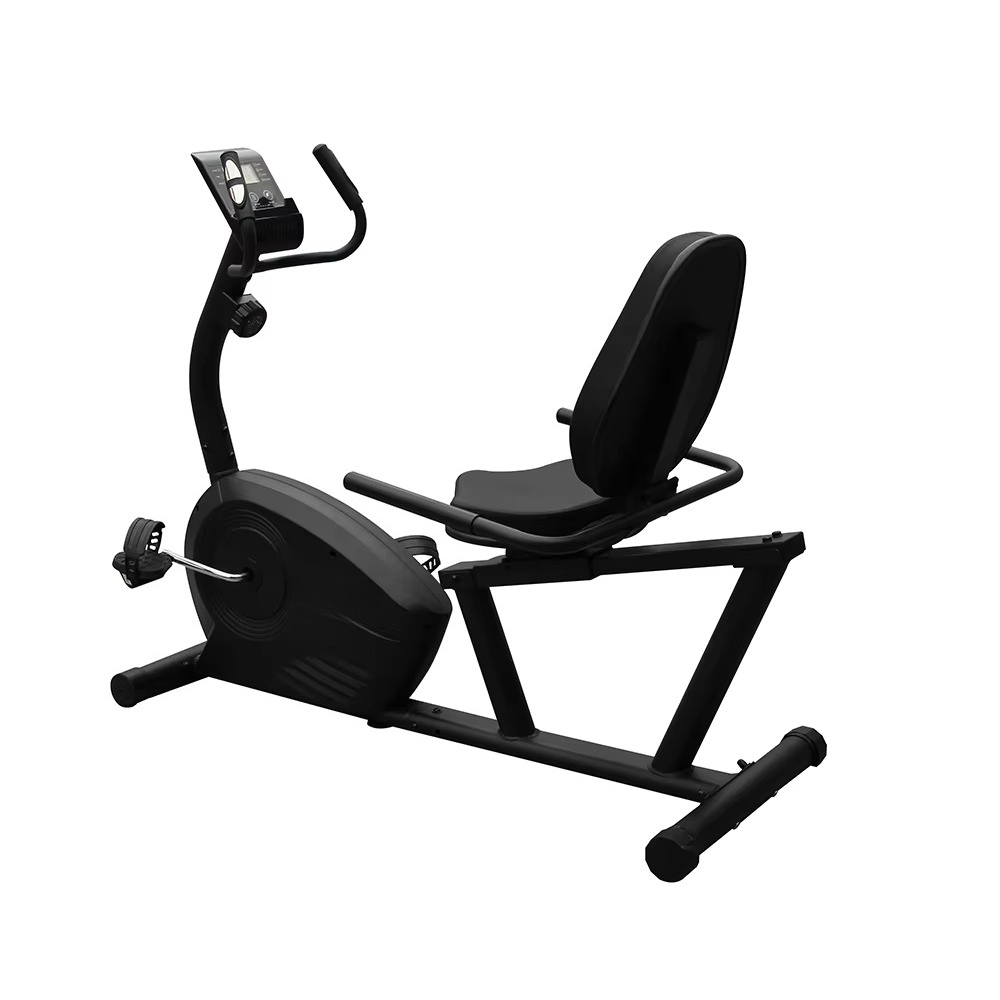 Meistverkauftes Gesundheits-In – Exercise Bike Magnetic Resistance Bewertung und Preis