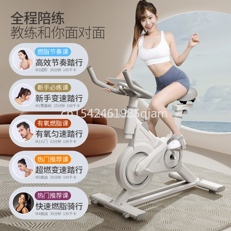 Indoor-Fitnessfahrrad, langleb – Exercise Bike Magnetic Resistance Bewertung und Preis