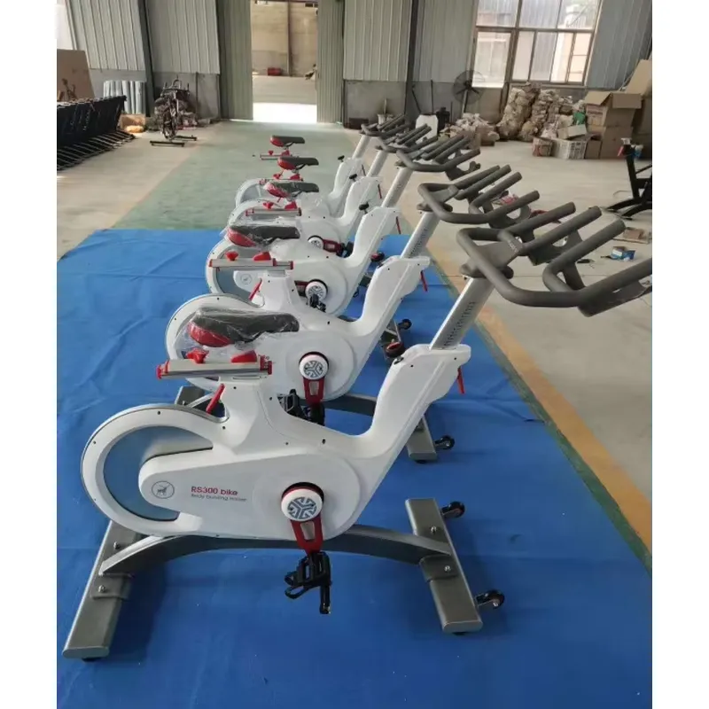Professionelles Magnetwidersta – Exercise Bike Magnetic Resistance Bewertung und Preis