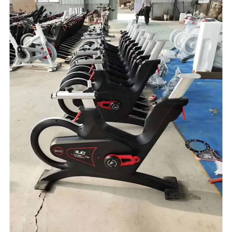Professionelles Magnetwidersta – Exercise Bike Magnetic Resistance Bewertung und Preis