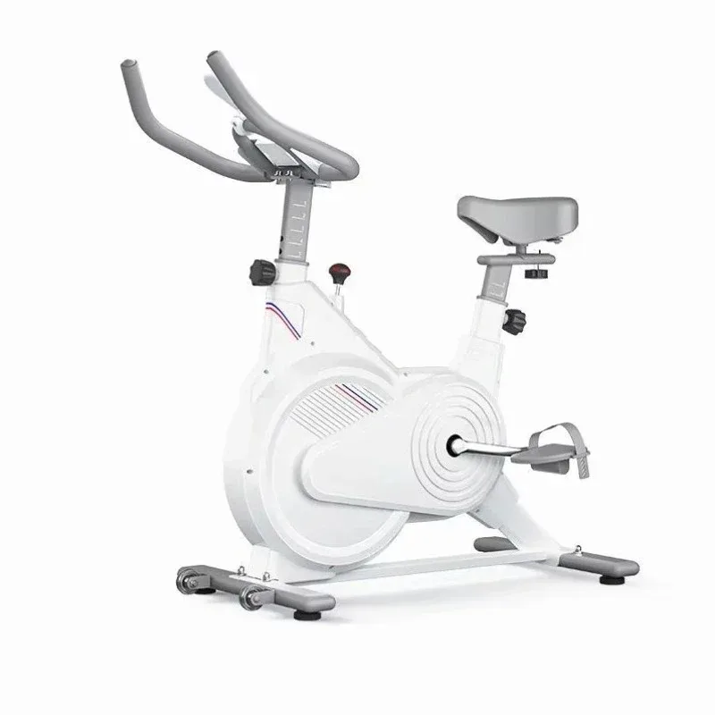 Schwarz-Weiße Heimtrainer für  – Exercise Bike Magnetic Resistance Bewertung und Preis
