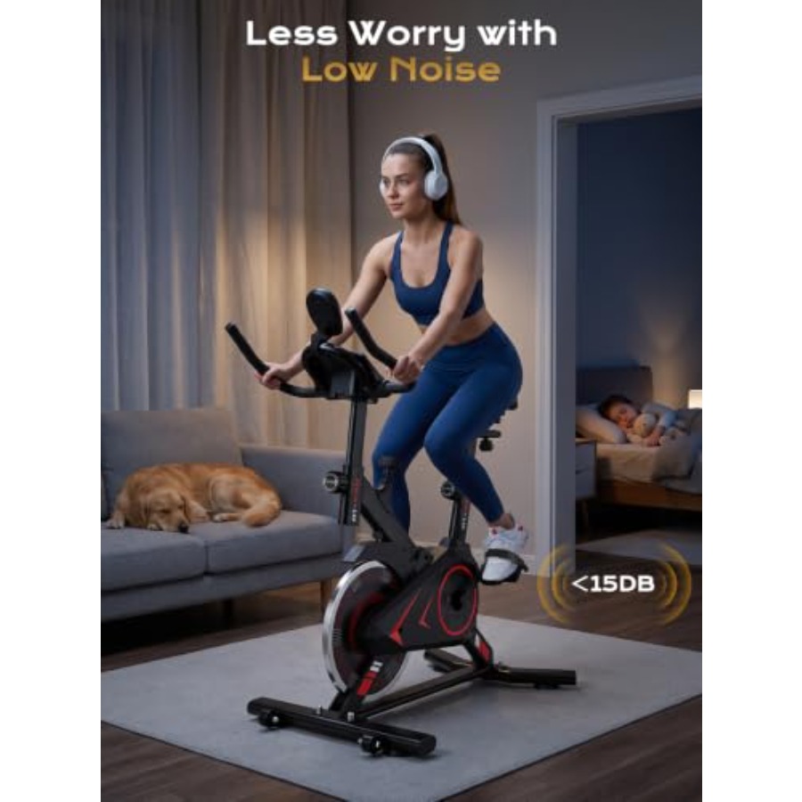 Heimtrainer-Fahrrad mit 350 LB – Exercise Bike Magnetic Resistance Bewertung und Preis
