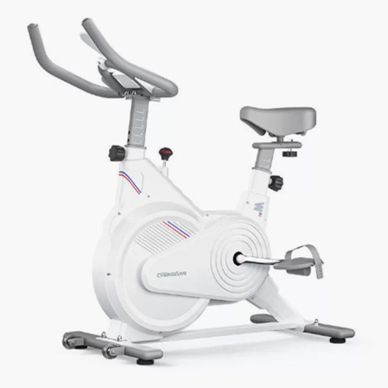 Stationäres Indoor-Spin-Bike,  – Exercise Bike Magnetic Resistance Bewertung und Preis