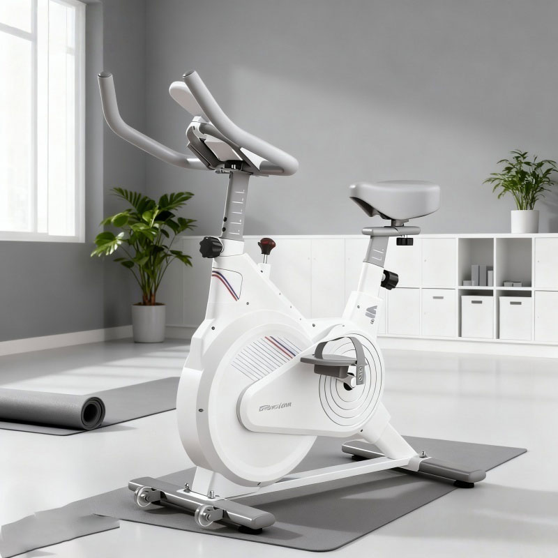 Stationäres Indoor-Spin-Bike,  – Exercise Bike Magnetic Resistance Bewertung und Preis